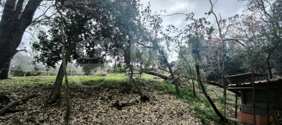 قطعة أرض في Scarlino, Italy 17000متر مربع رقم 210631 30