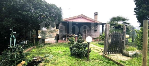 قطعة أرض في Scarlino, Italy 17000متر مربع رقم 210631 19