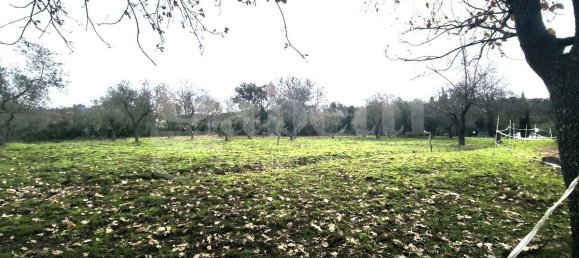 قطعة أرض في Scarlino, Italy 17000متر مربع رقم 210631 28