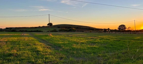 40000m² Land in Capalbio, Italy No. 166107 14