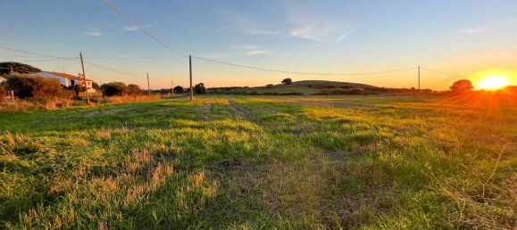 40000m² Land in Capalbio, Italy No. 166107 13