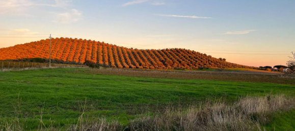 40000m² Land in Capalbio, Italy No. 166107 19