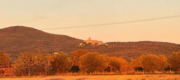 40000m² Land in Capalbio, Italy No. 166107 10