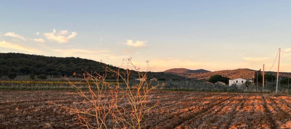 40000m² Land in Capalbio, Italy No. 166107 11