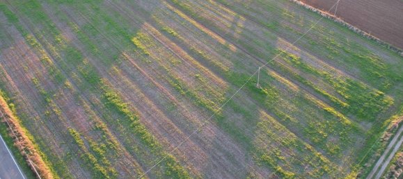 40000m² Land in Capalbio, Italy No. 166107 5