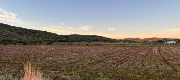 40000m² Land in Capalbio, Italy No. 166107 18