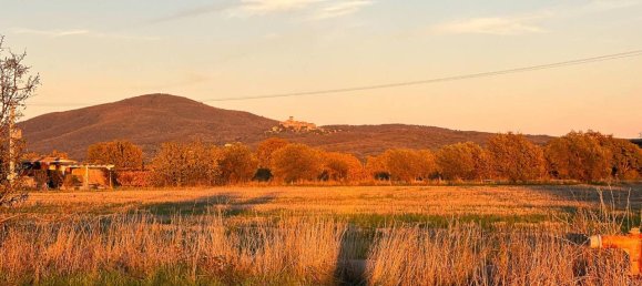 40000m² Land in Capalbio, Italy No. 166107 9