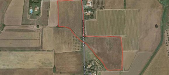 40000m² Land in Capalbio, Italy No. 166107 20