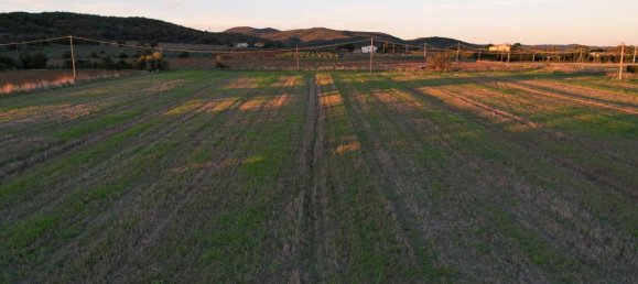 40000m² Land in Capalbio, Italy No. 166107 7