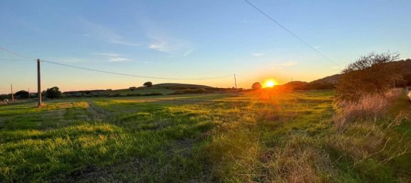 40000m² Land in Capalbio, Italy No. 166107 12