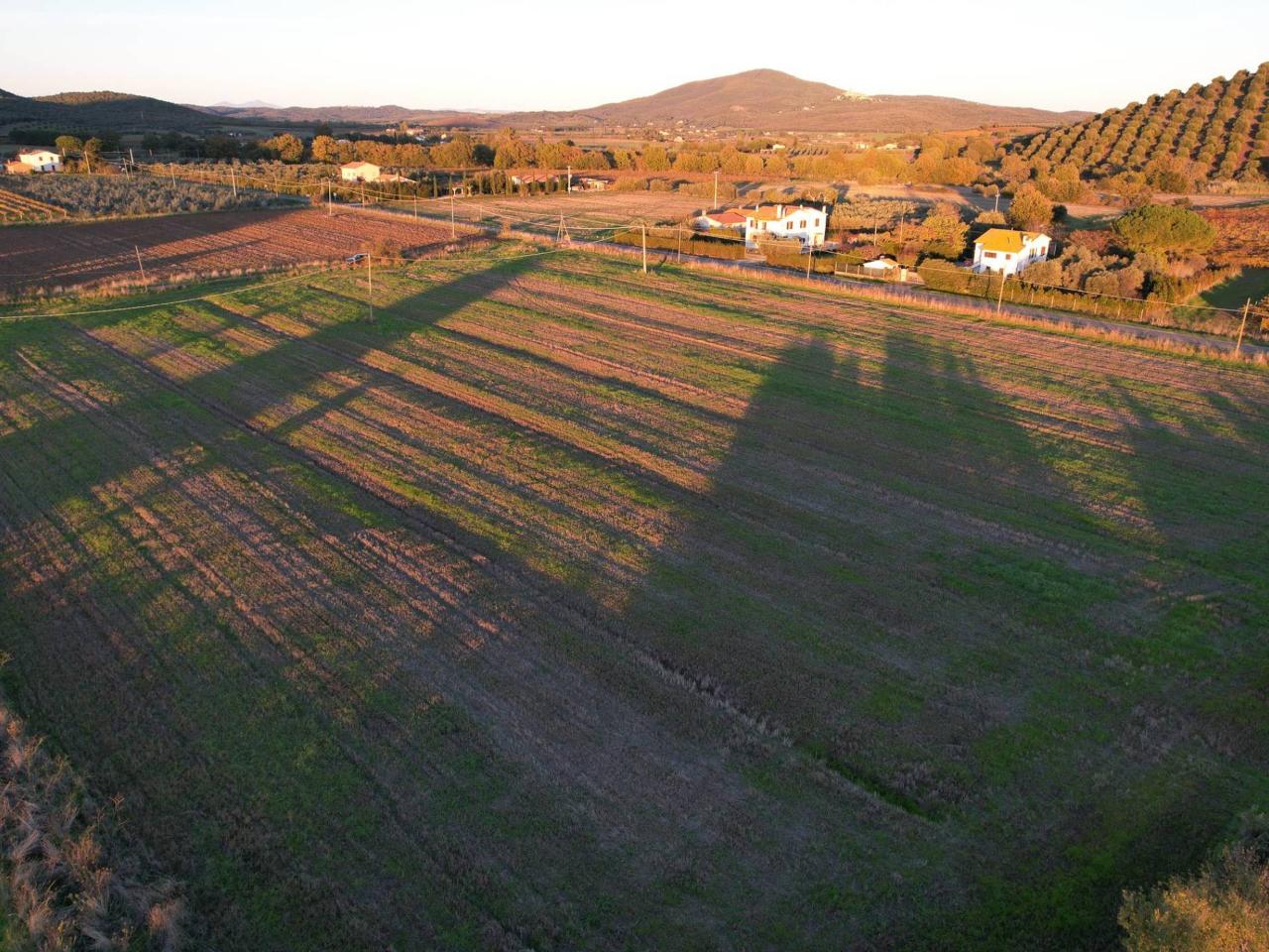 40000m² Land in Capalbio, Italy No. 166107