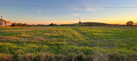 40000m² Land in Capalbio, Italy No. 166107 16