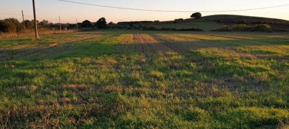40000m² Land in Capalbio, Italy No. 166107 6