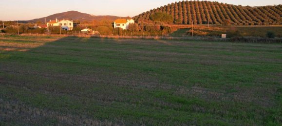 40000m² Land in Capalbio, Italy No. 166107 8