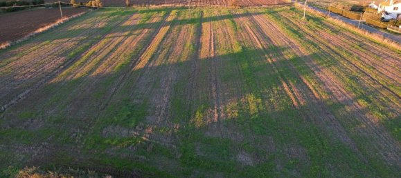 40000m² Land in Capalbio, Italy No. 166107 3