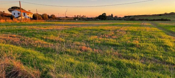 40000m² Land in Capalbio, Italy No. 166107 15