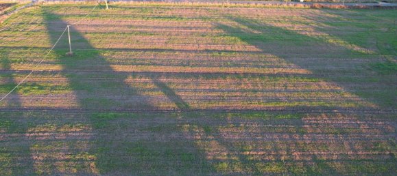 40000m² Land in Capalbio, Italy No. 166107 2