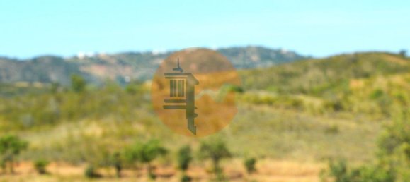 18990m² Land in Santa Catarina da Fonte do Bispo, Portugal No. 72241 6