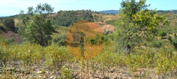 18990m² Land in Santa Catarina da Fonte do Bispo, Portugal No. 72241 5