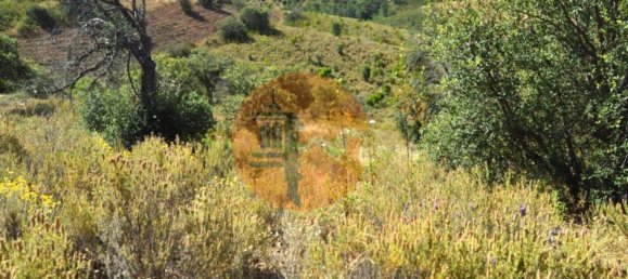 18990m² Land in Santa Catarina da Fonte do Bispo, Portugal No. 72241 16