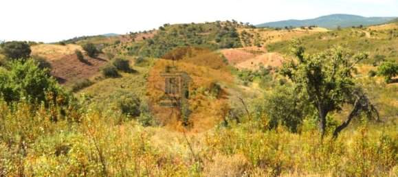 18990m² Land in Santa Catarina da Fonte do Bispo, Portugal No. 72241 7