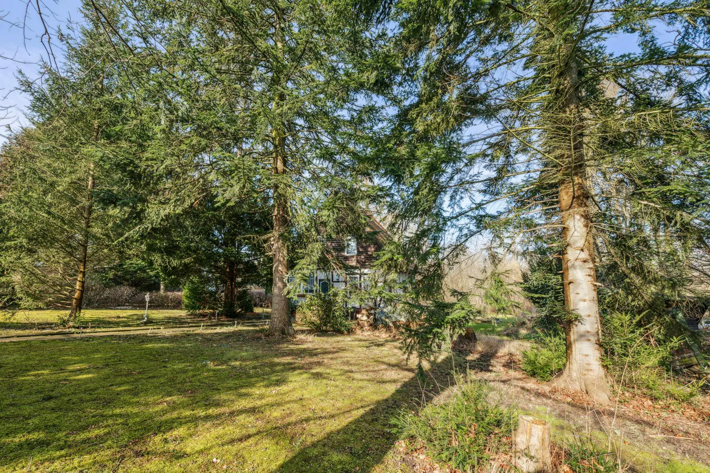 Terrain à Hanover, Germany No. 177609