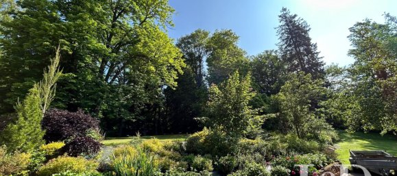 5 bedrooms House in Cirey-sur-Vezouze, France No. 88797 27