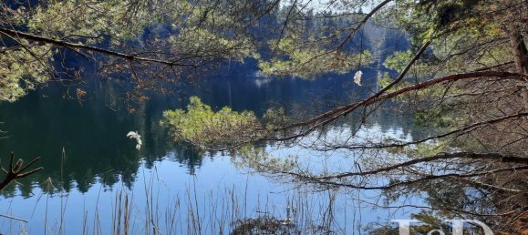 5 bedrooms House in Cirey-sur-Vezouze, France No. 88797 30