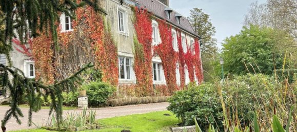 5 bedrooms House in Cirey-sur-Vezouze, France No. 88797 16