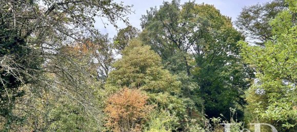 5 bedrooms House in Cirey-sur-Vezouze, France No. 88797 17