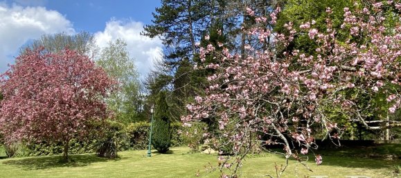 5 bedrooms House in Cirey-sur-Vezouze, France No. 88797 28