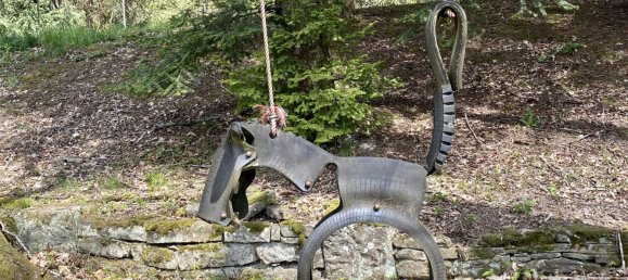 5 bedrooms House in Cirey-sur-Vezouze, France No. 88797 24