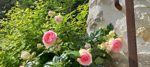 5 Schlafzimmer Haus in Chateau-Thierry, France, Nr. 49011 7