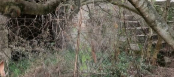 4 chambres Maison à Travanca de Lagos, Portugal No. 164603 9