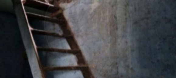 4 chambres Maison à Travanca de Lagos, Portugal No. 164603 6