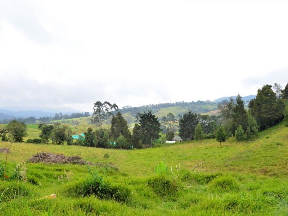 Terrain à Antioquia, Colombia No. 360