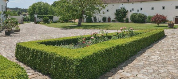 18غرفة منزل في St. Leonhard am Forst, Austria رقم 255905 15