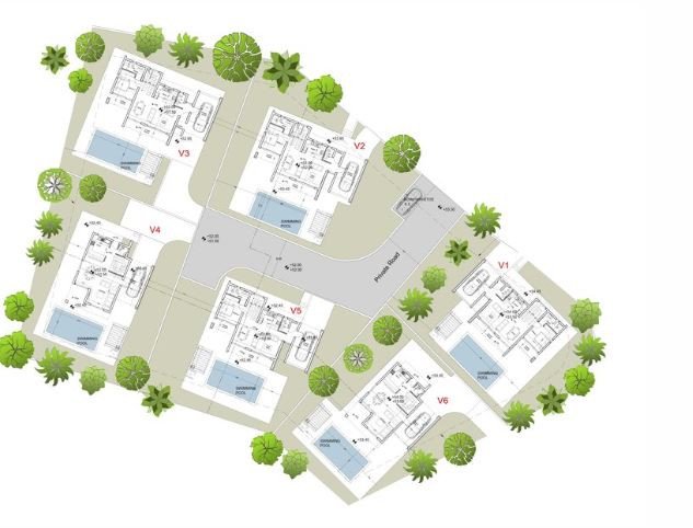 3 bedrooms House in Pegeia, Cyprus No. 9835