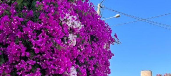 Terrain à Santanyi, Spain No. 168276 3