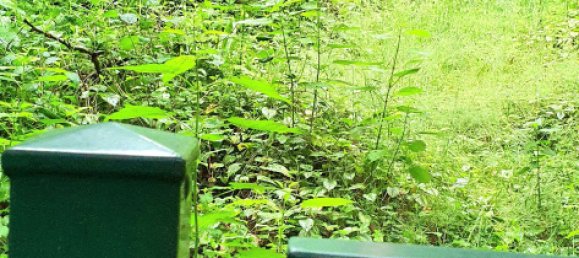 6غرفة منزل في Recklinghausen, Germany رقم 333897 14