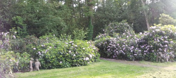 6غرفة منزل في Recklinghausen, Germany رقم 333897 19