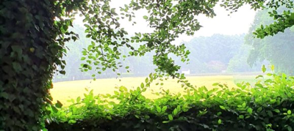 6غرفة منزل في Recklinghausen, Germany رقم 333897 32