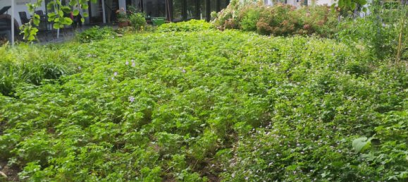 6غرفة منزل في Recklinghausen, Germany رقم 333897 25