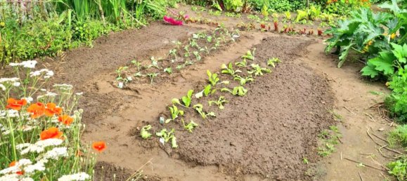 6غرفة منزل في Recklinghausen, Germany رقم 333897 29