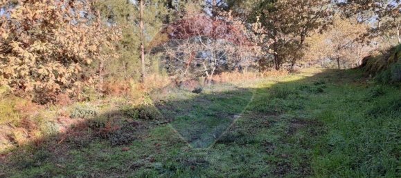 2050m² Land in Soalhaes, Portugal No. 62102 3