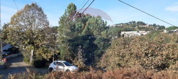 2050m² Land in Soalhaes, Portugal No. 62102 4