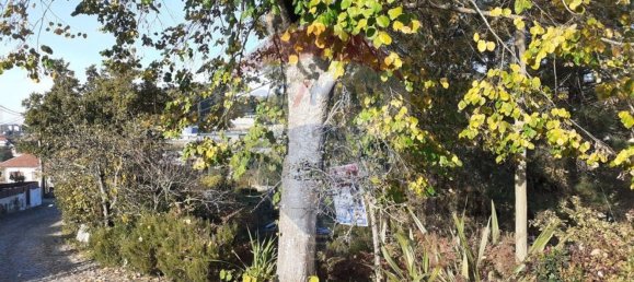 2050m² Land in Soalhaes, Portugal No. 62102 7