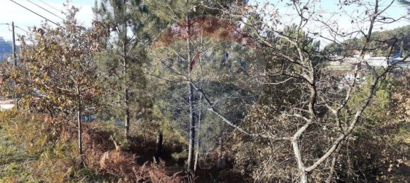 2050m² Land in Soalhaes, Portugal No. 62102 2