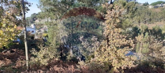 2050m² Land in Soalhaes, Portugal No. 62102 5