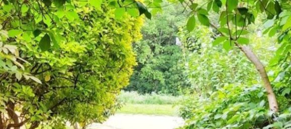 Casa de 2 dormitorios en Llinars del Vallès, Spain No. 149491 21